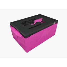 Lada frigorifica Kangabox Professional plus GN