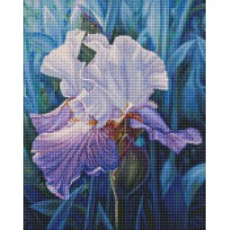 Set goblen cu diamante, cu sasiu, Irisi, 40x50 cm