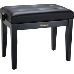 Roland RPB-300 Black