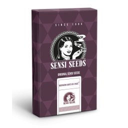 Northern Lights #5 x Haze Feminised 5 Seminte