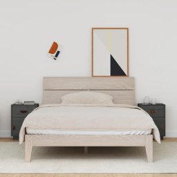 Noptiere, 2 buc., gri, 40x34x55 cm, lemn masiv de pin GartenMobel Dekor