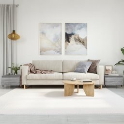 Masute de cafea 2 buc. gri sonoma 50x46x35 cm lemn compozit GartenMobel Dekor