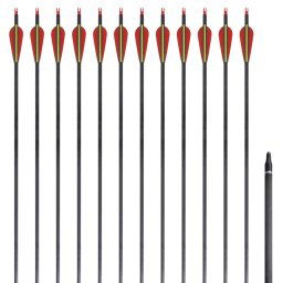 Sageti standard arc recurv 30" 0,76 cm carbon 12 buc. GartenMobel Dekor