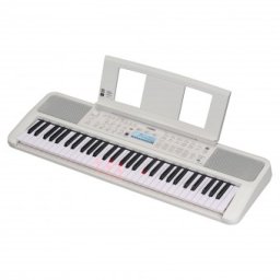 Yamaha PSR-EZ310