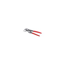 Cleste papagal Rogrip F10" 1K 2
