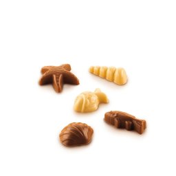 Forma Silicon pentru Praline si Ciocolata Subiecte Marine 3.5 x 3.2 x H 1.6 cm, 12 cavitati (SCG059)