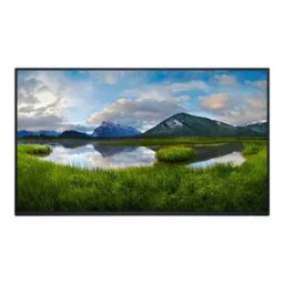 Monitor LED P2725H 27' LED 5ms 100Hz VGA HDMI DP USB