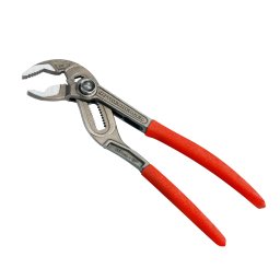 Cleste papagal Rogrip F7" 1K 1.1/4