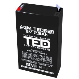 Acumulator AGM VRLA 6V 2,9Ah TED Battery Expert Holland TED002877
