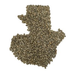 Fresso Guatemala Huehuetenango Huipil cafea boabe verde de origine 250g