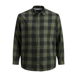 Jack & Jones Plus Cămașă 'JJEGINGHAM' gri / verde închis