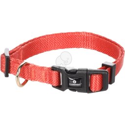 Flamingo Noekie zgardă câini - portocaliu S 30-45cm x 15mm x 2mm