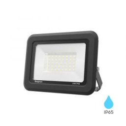 Proiector Led 6500K 30W 2550lm Alb Rece