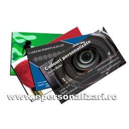 Carti de vizita magnetice