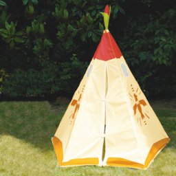 Cort Indieni Tipi Eagle