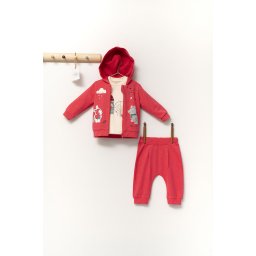 Set de 3 piese de trening scufita rosie pentru bebelusi, tongs baby (marime: 6-9 luni, culoare: corai)