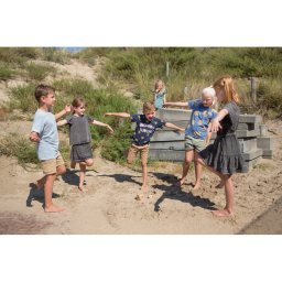 Imita pasarile, bs toys