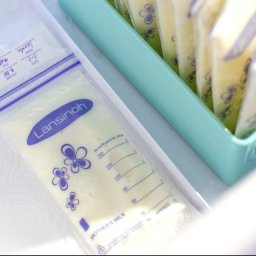 Pungi de stocare lapte matern x 50 buc – lansinoh