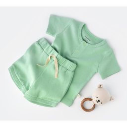 Set tricou cu panataloni scurti - 100% bumbac organic - mint, baby cosy (marime: 18-24 luni)