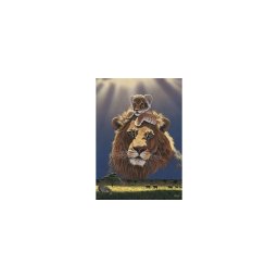 Puzzle Schimmel 1000 piese