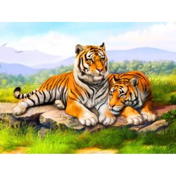 Set creativ cu diamante rotunde Diamond Painting 40x50 cm Toi-Toys TT46684Z