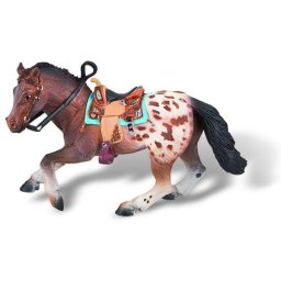 Cal Appaloosa