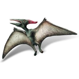 Pteranodon