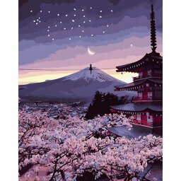 Set pictura pe numere, cu sasiu, Noapte de primavara in Japonia, 40x50 cm