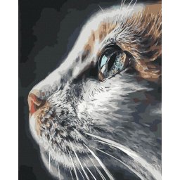 Set pictura pe numere, cu sasiu, Cuceritorul, 40x50 cm