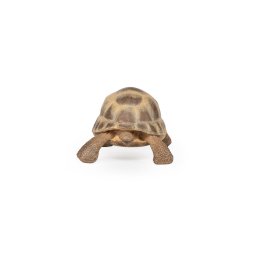 PAPO FIGURINA TESTOASA DE USCAT