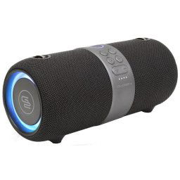 Boxa portabila Boxa portabila Bluetooth cu radio FM, GoGEN BS420B, 30 W, rezistenta la apa IPX6, True Wireless Stereo