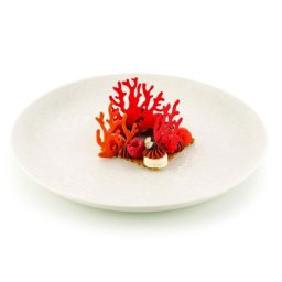 Forma Silicon Silikomart NaturaE Coral 2 modele 5 x 6.3 x H 2 cm - 6.8 x 6.3 x H 2 cm, 1 ml, 21 cavitati