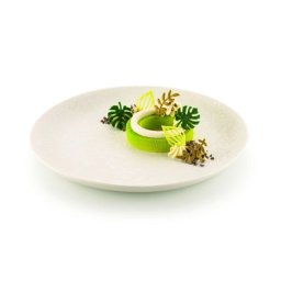 Forma Silicon Silikomart NaturaE Frunze 4 modele 4 x 2.5 x H 2 cm - 4 x 4.9 x H 2 cm, 1 ml, 68 cavitati