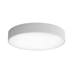 Plafonieră pentru baie CLEO 4xE27/24W/230V d. 50 cm gri IP54