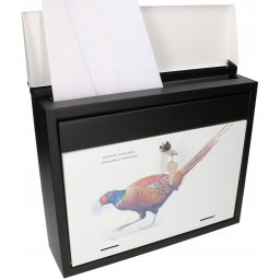 Cutie poștală pentru scrisori ziare cu model fazan colorat
