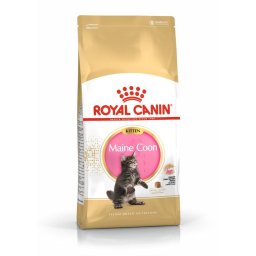 Royal Canin Maine Coon Kitten hrana uscata pisica junior 2 kg