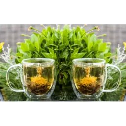 Set 2 Cani Thermo My Cup Pentru Ceai, Lapte Sau Orice Bautura Rece Sau Calda, 480Ml, Delcaffe