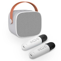 Set karaoke portabil cu boxa si 2 microfoane wireless, KARAOKE 2 GO