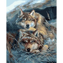 Set pictura pe numere, cu sasiu, Lupi in iarba, 40x50 cm