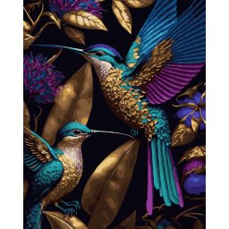 Set pictura pe numere, cu sasiu, Colibri auriti, 40x50 cm