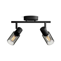 Spot Philips PALMS 2xE14/25W/230V