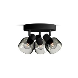 Spot Philips SLEET 3xE14/25W/230V