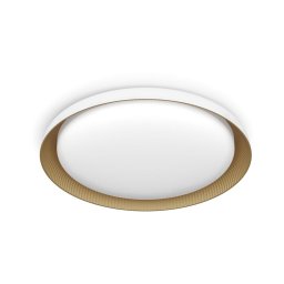 Plafonieră LED dimabilă Philips PEBBLO LED/10W/230V 4000K alb