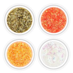 Dungulite Stralucitoare Set 4 Culori - Accesorii Nail Art pentru Manichiura Impecabila