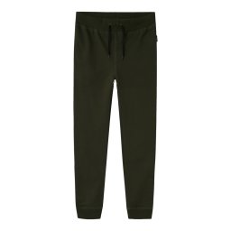 NAME IT Pantaloni verde pin