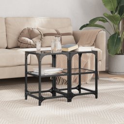Masute de cafea, blat din sticla negra, 2 buc. 30x30x40 cm otel GartenMobel Dekor