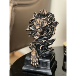 Magnificent King Lion