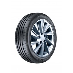 SUNNY NA302 205/55R16 91V