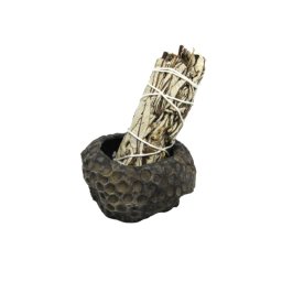 Suport Fosil Coral cu Iarba Santa - 86x80x46 mm