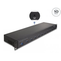 HUB industrial 19" metalic cu 10 x USB-A 3.2, Delock 64240